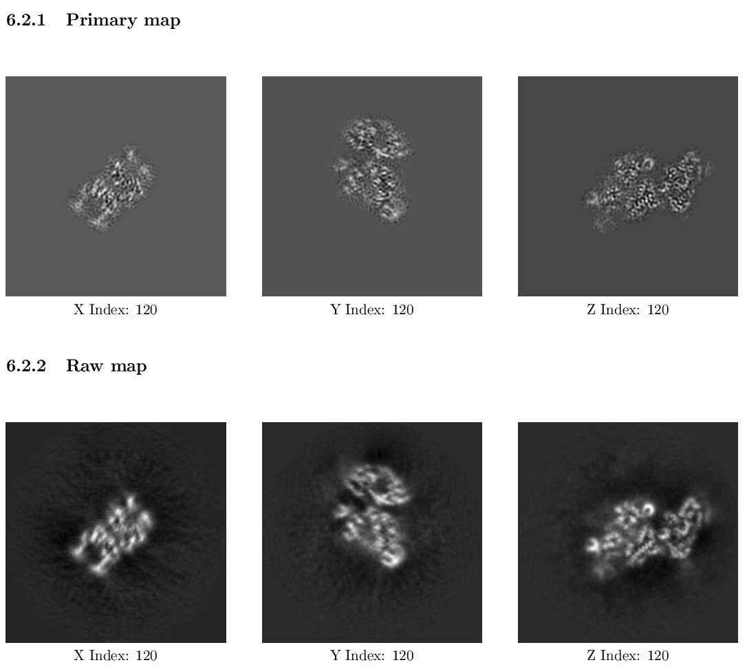 (image of central slices)